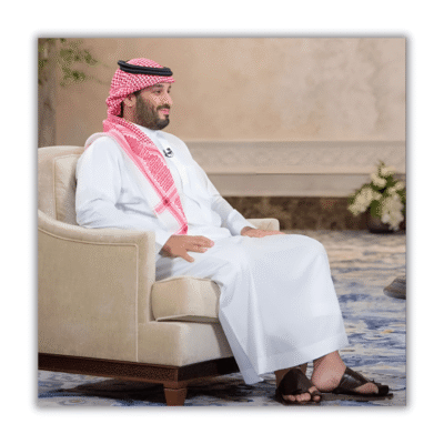 قائد الرؤية