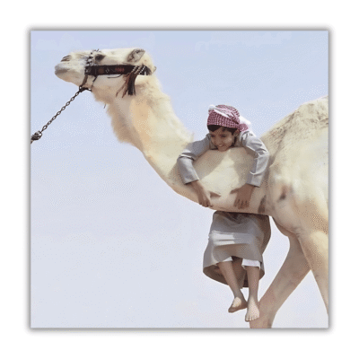 رمز تراثي مرح